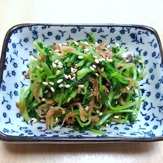 豆苗と桜えびの和え物